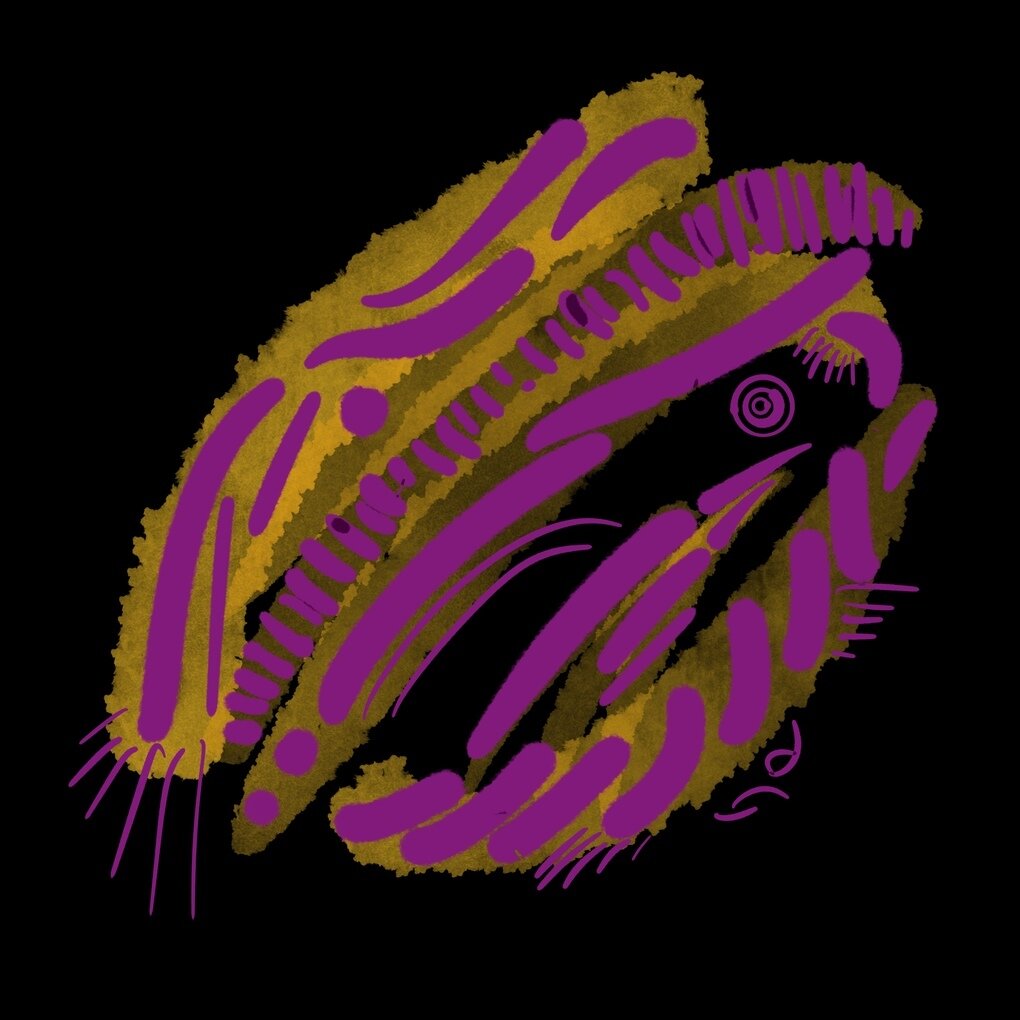 Untitled_Artwork 37.jpg